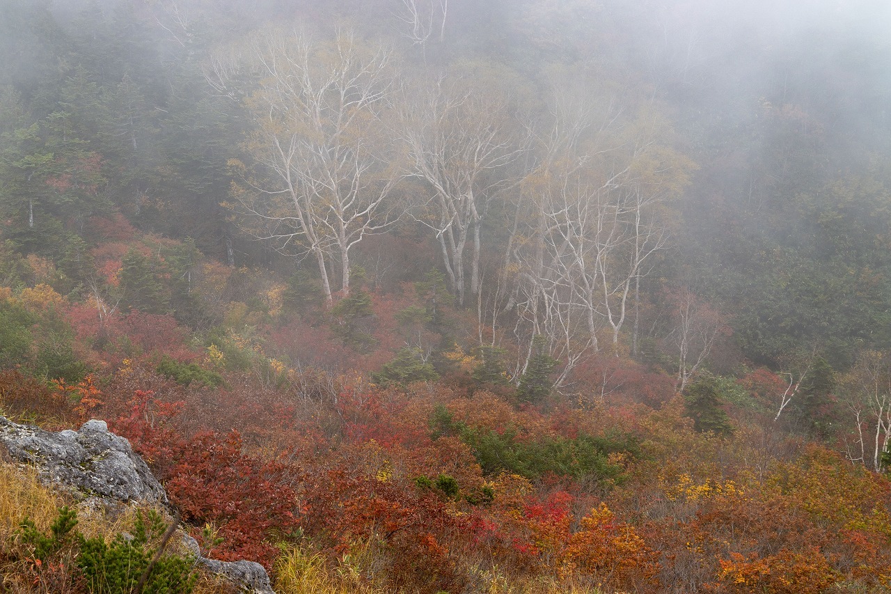 f0297537_08230240.jpg