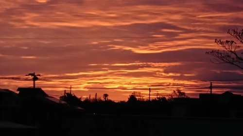 d0013739_09075840.jpg