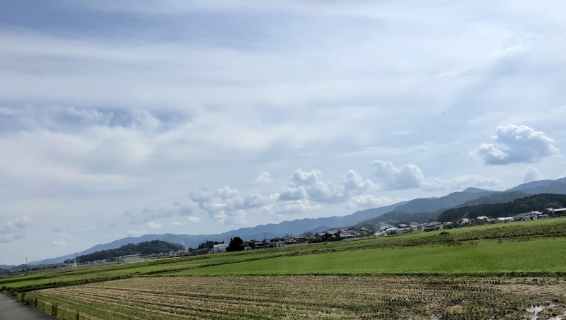 d0282139_15274211.jpeg