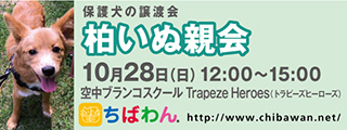 くらふと君のご飯事情。_d0169340_06584923.jpg