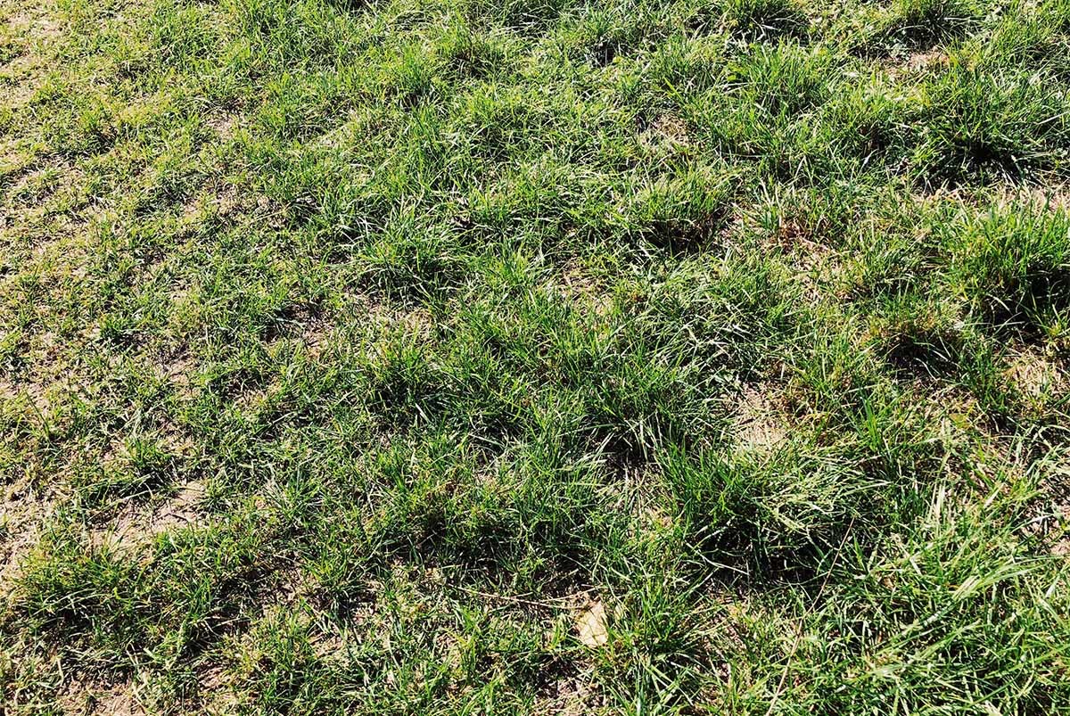 d0360340_10410935.jpeg