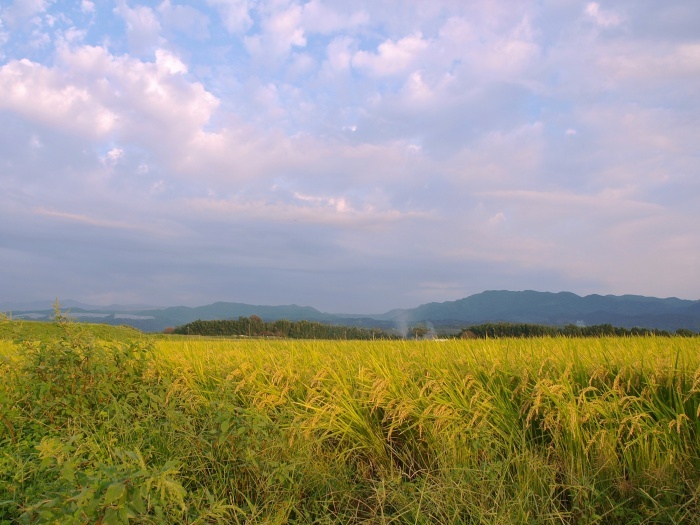 c0281841_13330367.jpg