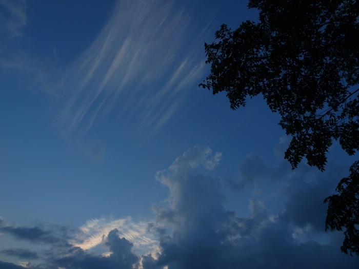 c0281841_13552910.jpg