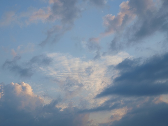 c0281841_13565066.jpg