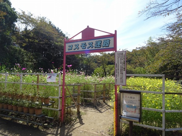 b0299042_22585144.jpg