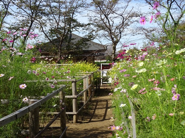 b0299042_22592791.jpg