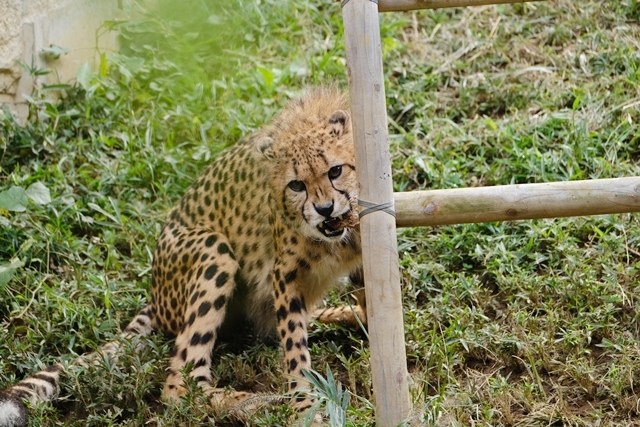d0356852_18431780.jpg
