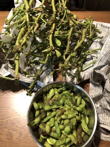b0309257_18102337.jpeg