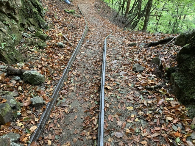 c0214259_12524594.jpeg