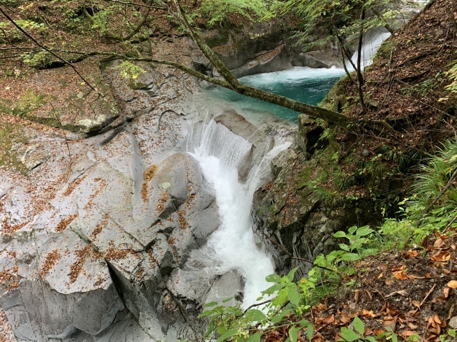 c0214259_16582926.jpeg