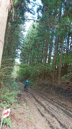 a0208560_14081611.jpg