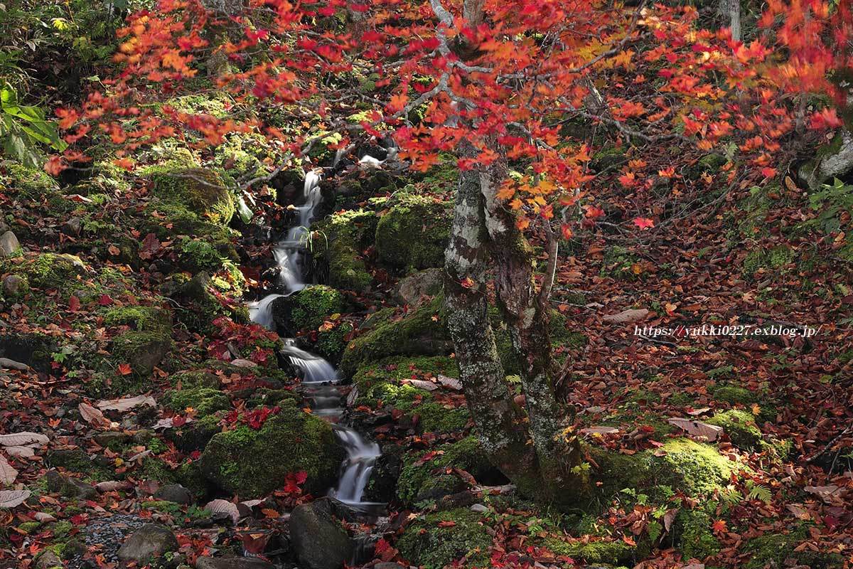 秋の然別で 福原山荘にて紅葉を堪能 あ した天気になぁ れ
