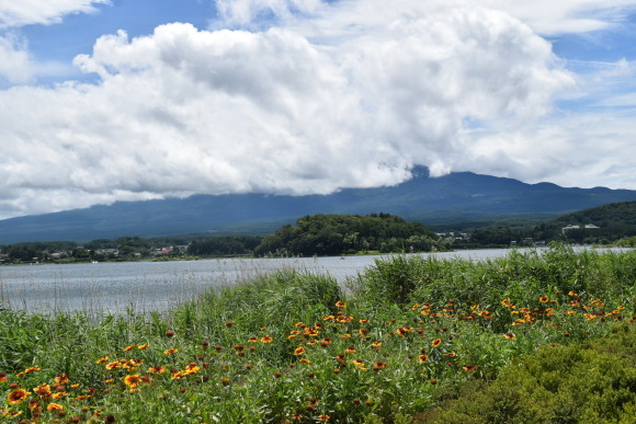 b0242873_12301830.jpg