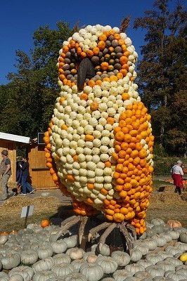 かぼちゃ祭りへ　～　かぼちゃの動物達_c0211876_04134113.jpg