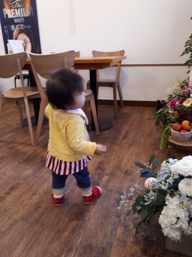 由利本荘市に新しい居酒屋open マナイタ Mary 秋田県由利本荘市 赤ちゃんと家族が喜ぶ ふんわりガーゼ雑貨 ベビー雑貨を作っています 由利本荘市に新しい居酒屋open マナイタ Mary 秋田県由利本荘市 赤ちゃんと家族が喜ぶ ふんわりガーゼ雑貨 ベビー雑貨を作っています