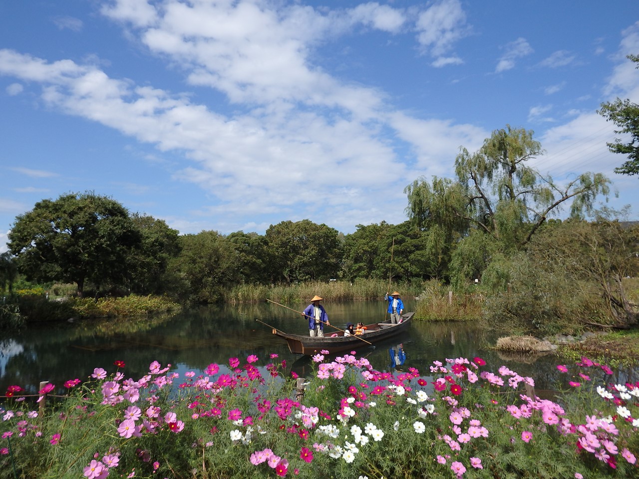 『木舟遊覧と秋桜の風景～』_d0054276_20145165.jpg