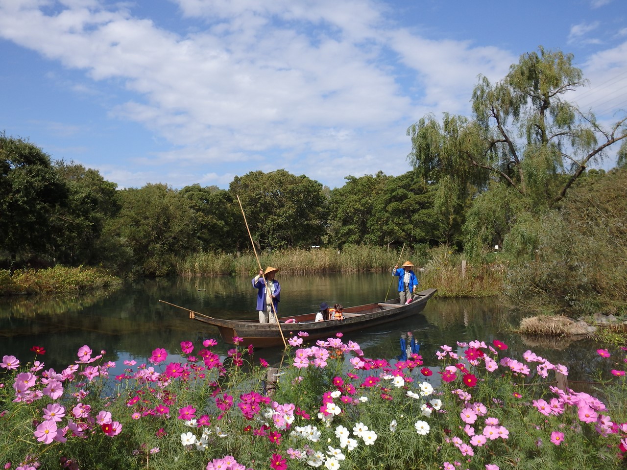 『木舟遊覧と秋桜の風景～』_d0054276_2015036.jpg