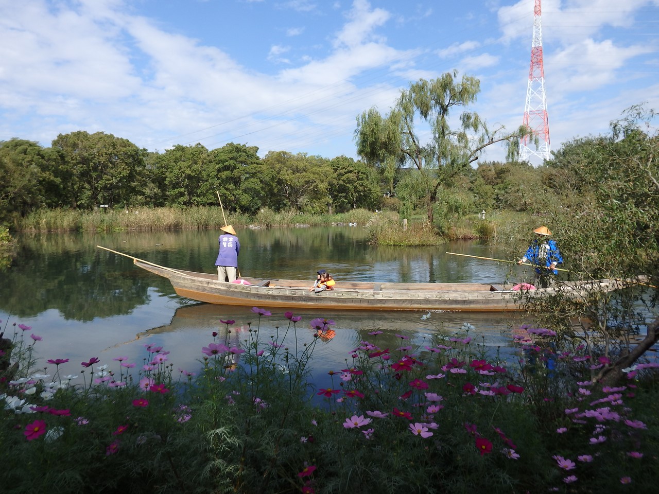 『木舟遊覧と秋桜の風景～』_d0054276_20152379.jpg