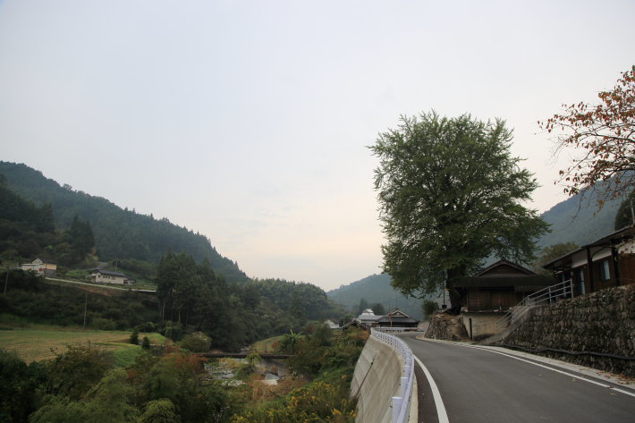 c0358784_21555655.jpg