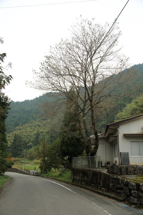 c0358784_21562563.jpg