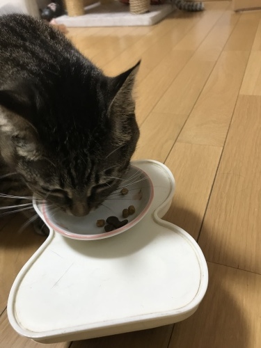 c0340786_20494423.jpeg