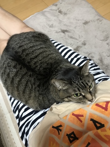 c0340786_21111535.jpeg