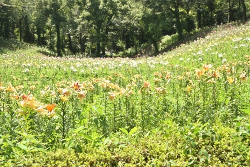 所沢へ行こう。（埼玉県へ行こう。）_e0205297_05404261.jpg