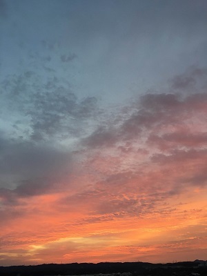 f0372998_18592686.jpg