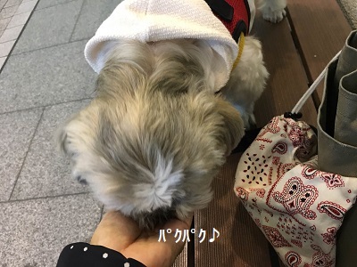 f0372998_19000880.jpg