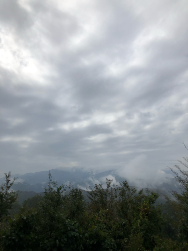 e0123401_16050524.jpg