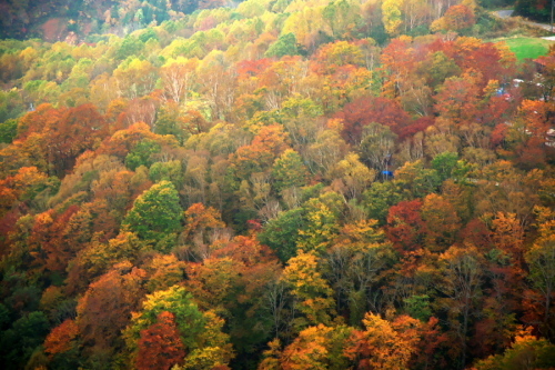 a0263109_10341951.jpg