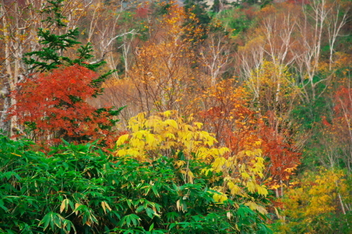 a0263109_10344819.jpg