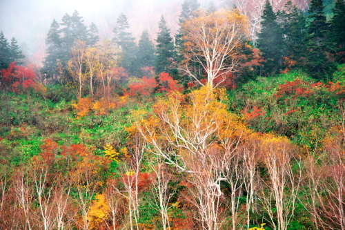 a0263109_10344982.jpg