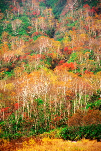 a0263109_10380147.jpg