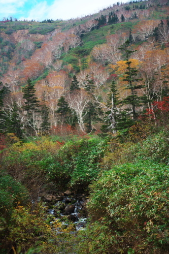 a0263109_10391301.jpg