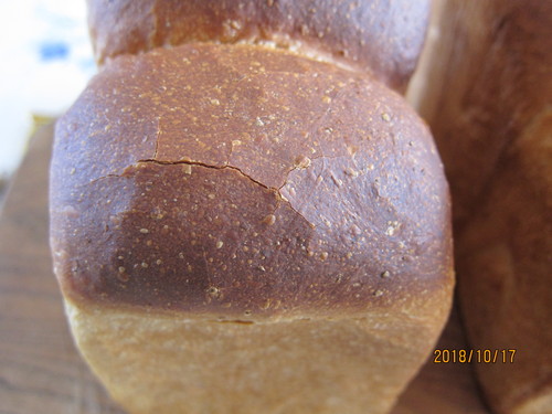 f0186309_11241347.jpg