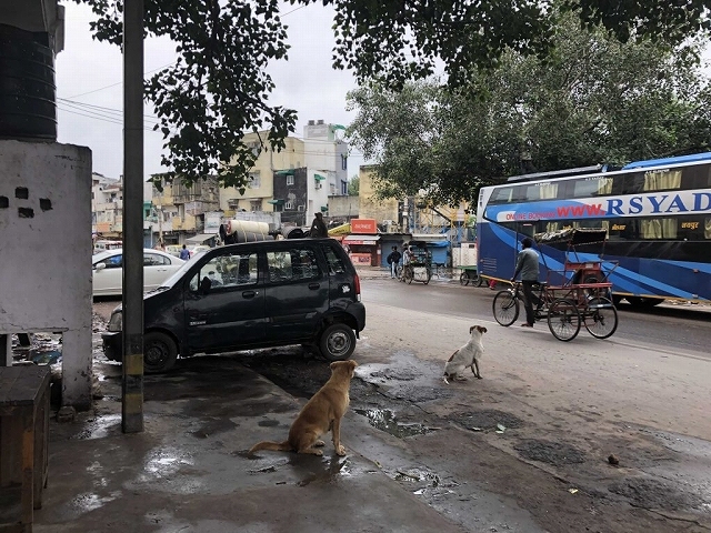 次男のインド旅行16　Amritsar_b0064411_05055689.jpg