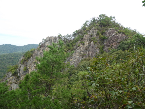 d0170615_07313826.jpg
