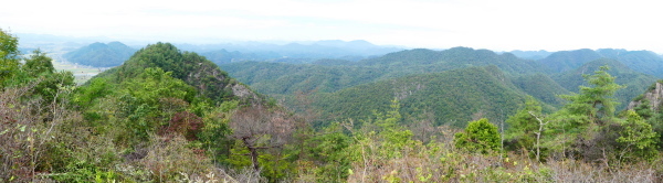 d0170615_07320899.jpg