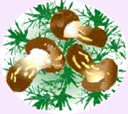 a0115924_16325967.png