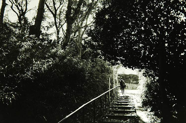 c0381632_19251842.jpg