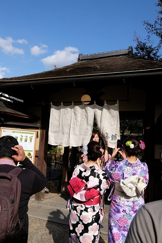 ハイ　チーズ！_e0374932_05584631.jpg