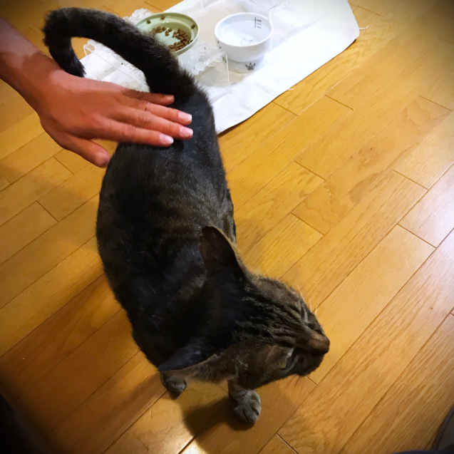 ついに成功☆_d0355333_22031975.jpg