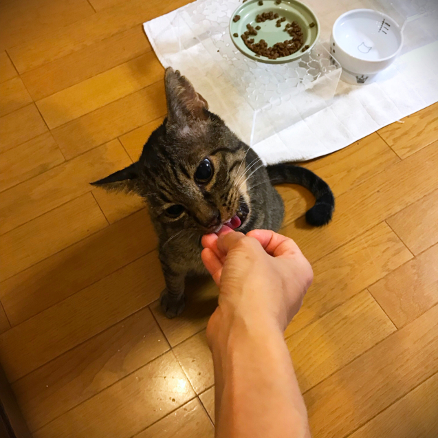 ついに成功☆_d0355333_22032528.jpg