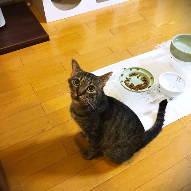 ついに成功☆_d0355333_22033932.jpg