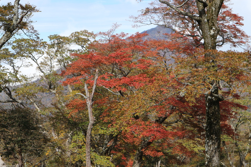 祖母山＆障子岳＆親父岳！_e0272335_9212180.jpg