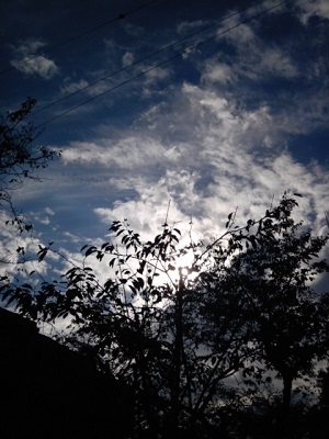 a0163738_10510513.jpg