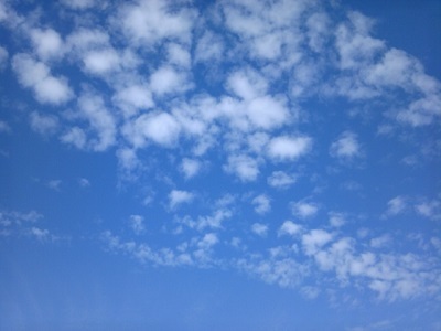 a0163738_10511024.jpg