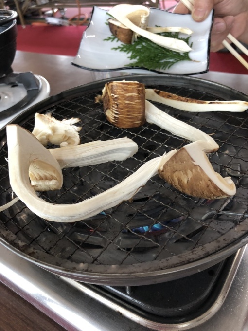 b0369239_11354009.jpeg