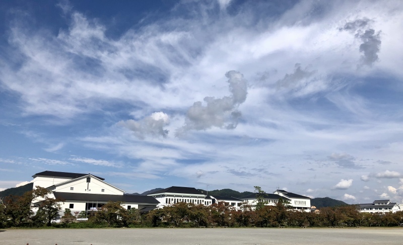 d0282139_15121889.jpeg